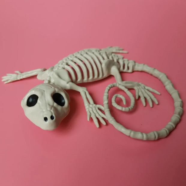 Bone Aquarium: Whimsical Skeleton Fish and Reptile Figurine Set for Spooky Décor - BiHu - Desktop decorations