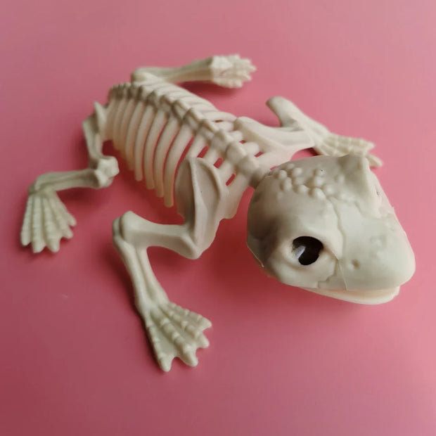 Bone Aquarium: Whimsical Skeleton Fish and Reptile Figurine Set for Spooky Décor - QingWa - Desktop decorations