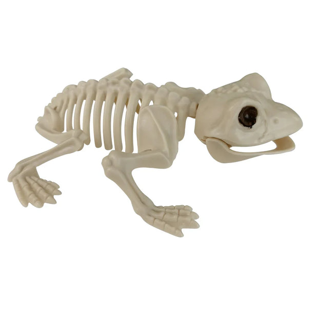 Bone Aquarium: Whimsical Skeleton Fish and Reptile Figurine Set for Spooky Décor - Desktop decorations