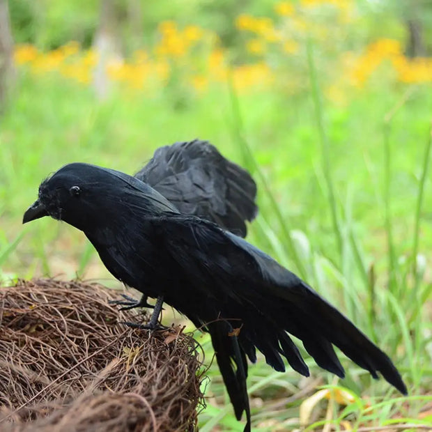 Realistic Black Crow Decor - Halloween Prop and Gothic Themed Decoration - Desktop decorations