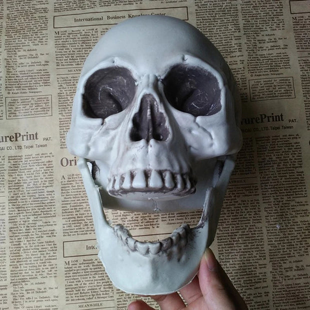 Realistic Skull Decor – Gothic Resin Skull for Halloween and Dark-Themed Interiors - Desktop decorations