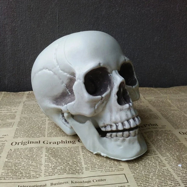 Realistic Skull Decor – Gothic Resin Skull for Halloween and Dark-Themed Interiors - Desktop decorations