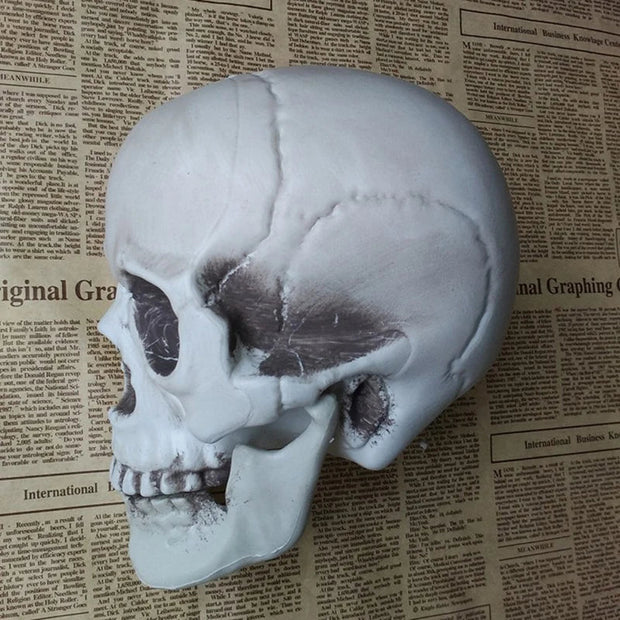 Realistic Skull Decor – Gothic Resin Skull for Halloween and Dark-Themed Interiors - Desktop decorations