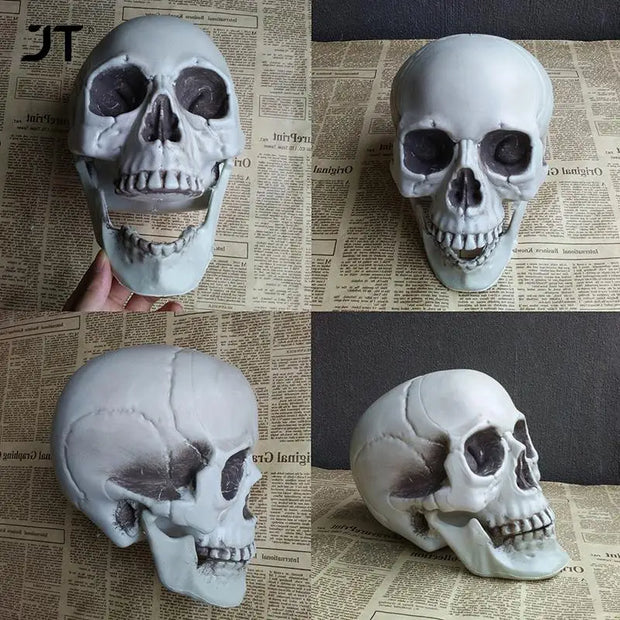 Realistic Skull Decor – Gothic Resin Skull for Halloween and Dark-Themed Interiors - 9x10x12.5cm - Desktop decorations