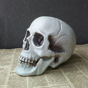 Realistic Skull Decor – Gothic Resin Skull for Halloween and Dark-Themed Interiors - Desktop decorations