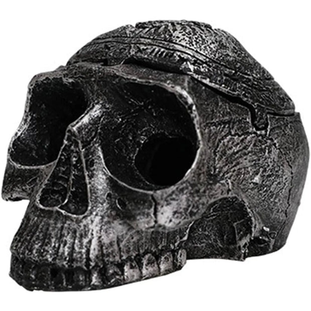 Realistic Skull Sculpture Set – Gothic Home Decor for Halloween or Year-Round Decoration - Desktop decorations