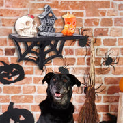 Spider Web Wall Shelf – Halloween Themed Gothic Shelf for Decorative Display - wall decorations